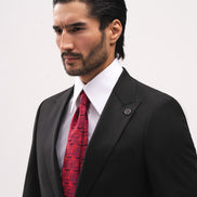 THE ENVOY