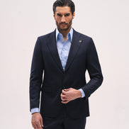 THE AMBASSADOR