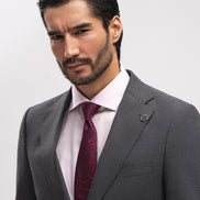 THE AMBASSADOR