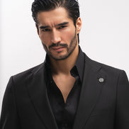 THE AMBASSADOR